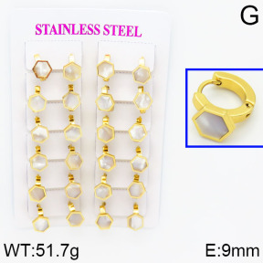 SS Earrings  2E4000289ajma-446