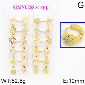 SS Earrings  2E4000291ajma-446