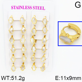 SS Earrings  2E4000294ajma-446