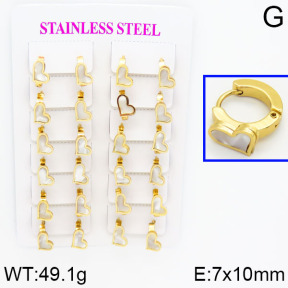 SS Earrings  2E4000305ajma-446