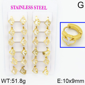 SS Earrings  2E4000312ajma-446