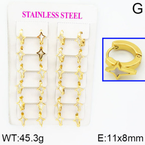 SS Earrings  2E4000319ajma-446