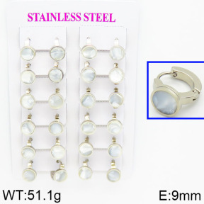 SS Earrings  2E4000331ajik-446