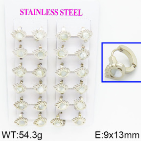 SS Earrings  2E4000337ajik-446