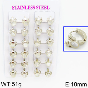 SS Earrings  2E4000338ajik-446