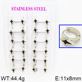 SS Earrings  2E4000340ajik-446