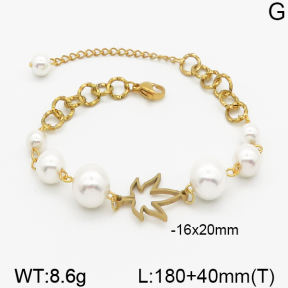 SS Bracelet  5B3000377vbpb-610