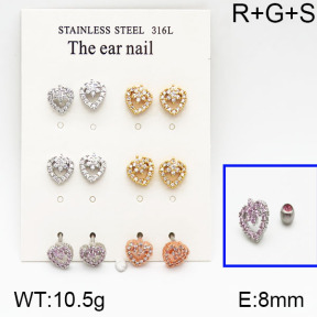 SS Earrings  5E2000626amja-256