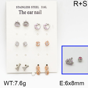 SS Earrings  5E2000639amia-256