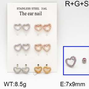 SS Earrings  5E2000640amja-256