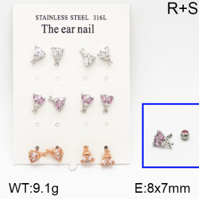 SS Earrings  5E2000641amia-256