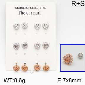 SS Earrings  5E2000642amia-256