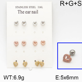 SS Earrings  5E2000643amka-256