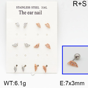 SS Earrings  5E2000647amja-256
