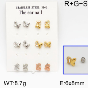 SS Earrings  5E2000648amja-256