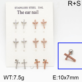 SS Earrings  5E2000650amja-256