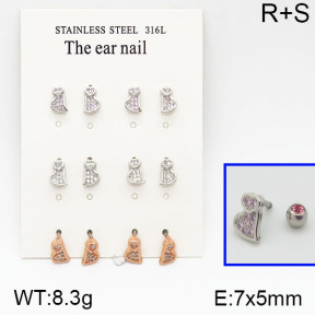 SS Earrings  5E2000651amia-256