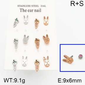 SS Earrings  5E2000652amja-256