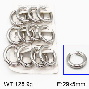 SS Earrings  5E2000800bjja-423