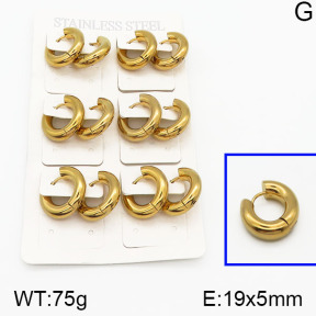 SS Earrings  5E2000801ajma-423