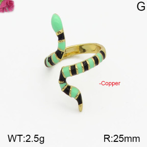 Fashion Copper Ring  F5R300001vbpb-J111