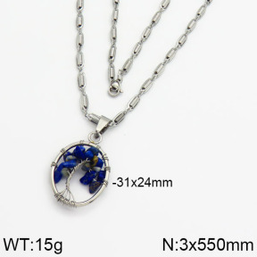 SS Necklace  2N4000186ahjb-900