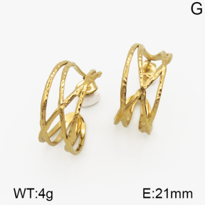 SS Earrings  5E2000803bhia-635