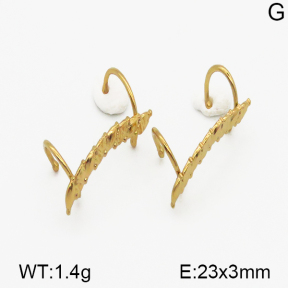 SS Earrings  5E2000804bhia-635