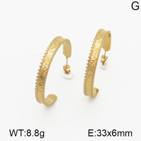 SS Earrings  5E2000805bhia-635