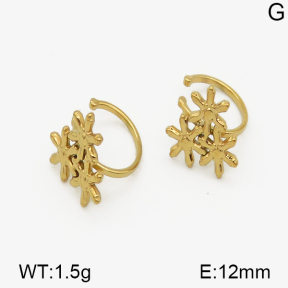 SS Earrings  5E2000807bhva-635
