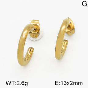 SS Earrings  5E2000809bhva-635