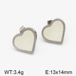 SS Earrings  5E3000201bbov-635