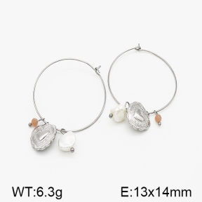 SS Earrings  5E3000202bhia-635