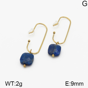 SS Earrings  5E4000656bhva-635