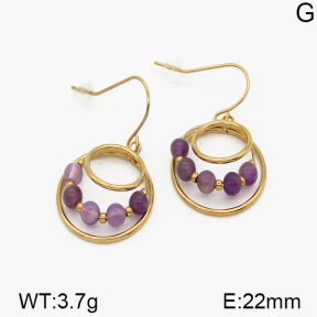 SS Earrings  5E4000657bhia-635