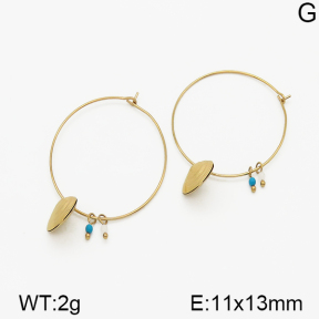 SS Earrings  5E4000660bhva-635