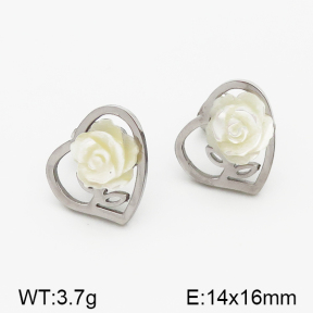 SS Earrings  5E4000661bhva-635