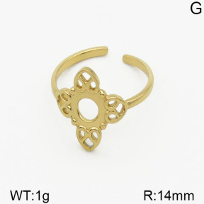 SS Ring  5R2000436vbnl-493