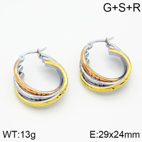 SS Earrings  2E2000144vbmb-319
