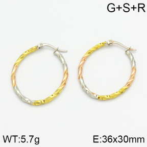 SS Earrings  2E2000147baka-319