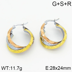 SS Earrings  2E2000149vbmb-319
