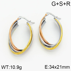 SS Earrings  2E2000152vbmb-319