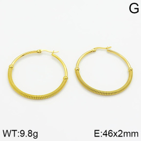 SS Earrings  2E2000153baka-319