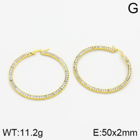 SS Earrings  2E4000416ablb-319
