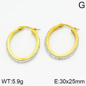 SS Earrings  2E4000417baka-319
