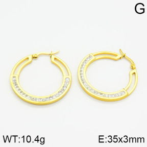 SS Earrings  2E4000418vbll-319