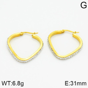 SS Earrings  2E4000420baka-319