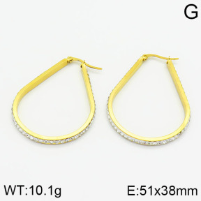 SS Earrings  2E4000422ablb-319