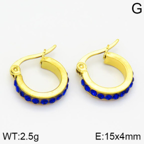 SS Earrings  2E4000424aaio-319