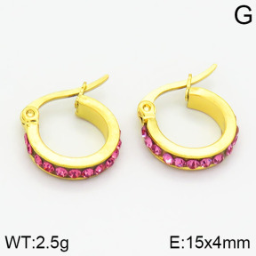 SS Earrings  2E4000425aaio-319